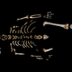 The remarkably well-preserved skeleton of a seven-year-old Neanderthal boy. (Image: Paleoanthropology Group MNCN-CSIC)